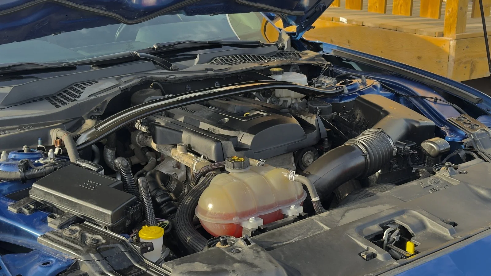 2018 Ford Mustang 2.3L High Performance used Coupe thumbnail 31